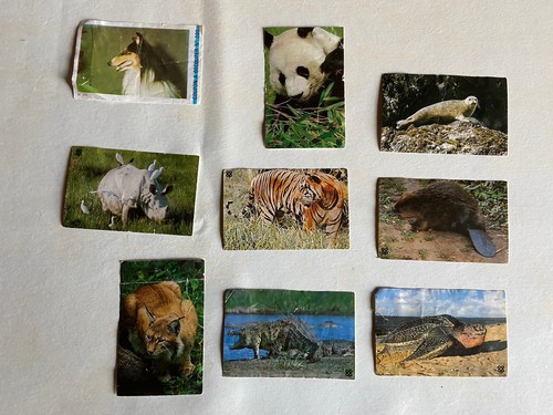 Image panini vignette - image,