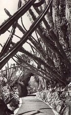 Jardin exotique de MONACO