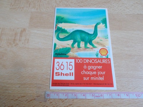 Autocollant shell dinosaures - shell,