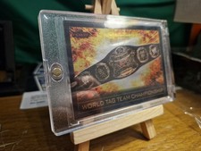 World Tag Team Championship Belt Slam Attax 2008