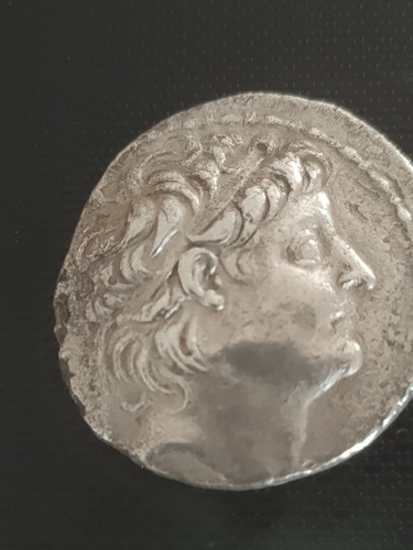 Tetradrachm alexander syria - alexander,