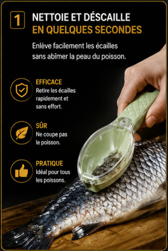 écailleur poisson manuel - Écailleur,