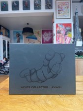 kaws companion acute collector
