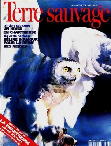 Terre sauvage un hiver - terre, :