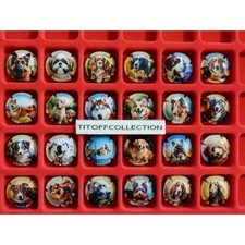 la série de 24 capsules de