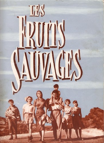 Les fruits sauvages estella - les,