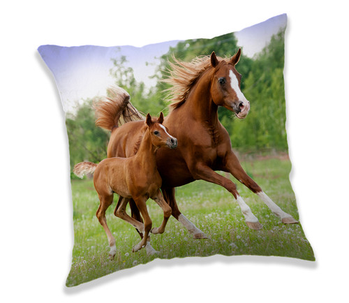 Coussin cheval brun - coussin,