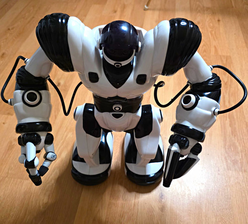 Vintage 2005 wowwee robosapien - 2005,