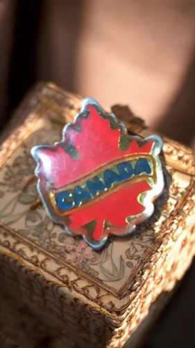 Rare vintage pin canada - pin's,