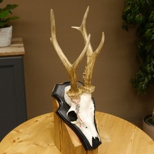 Bois de Cervidés G 310 Hl