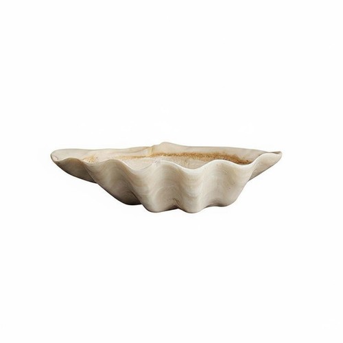 Plateau coquillage allure - coquillage,