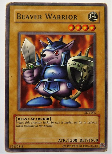 Carte beaver warrior - beaver,
