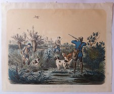 Woodcock Hunting Lithograph