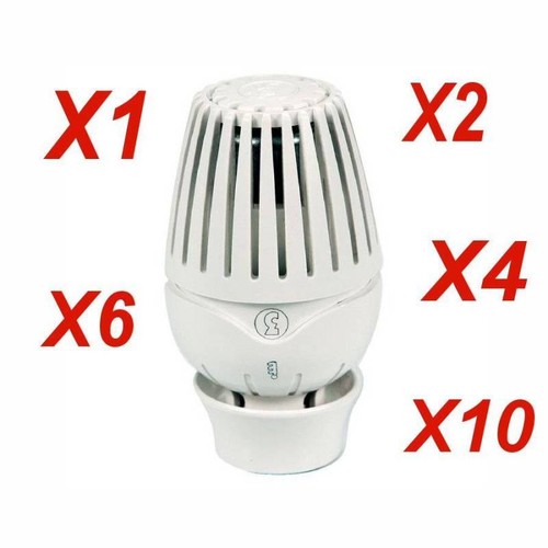 Giacomini r460 tête - giacomini,