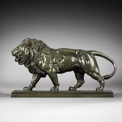 Lion qui marche