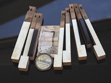 Touches harmonium ivoire et