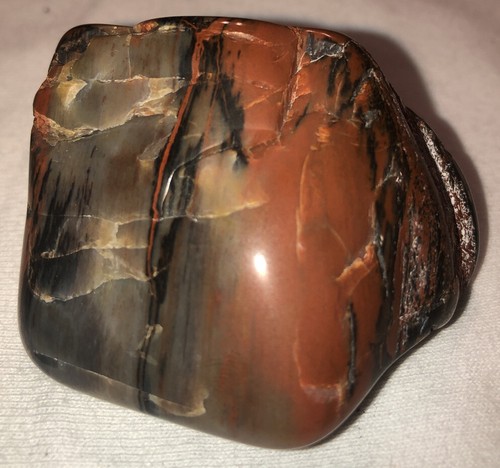 Rainbow petrified wood - az,