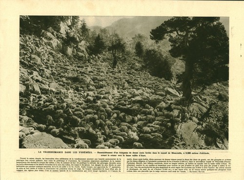 Document publicité - document, la