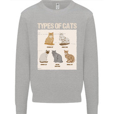Types chat persan siamois - types, de