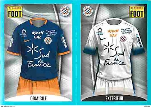 Stickers panini france - panini, foot