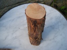 bois de cyprès chauve,ébénisterie,tournage,coutellerie,stylos Rare