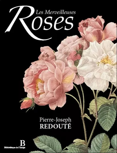 Les merveilleuses roses - merveilleuses,
