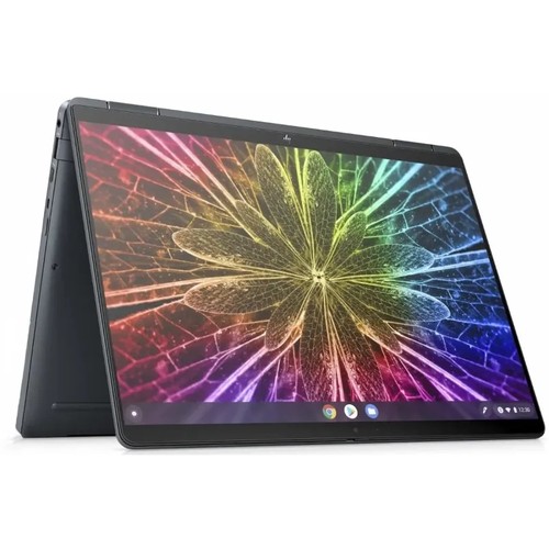 Elite dragonfly chromebook - dragonfly,