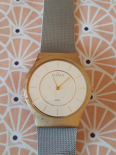 Montre skagen denmark 233lgs - montre,