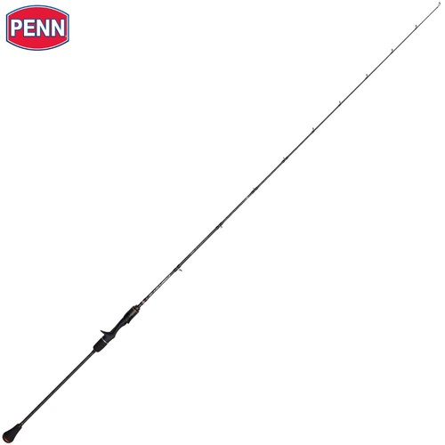 Canne lancer appâts penn - de, d'appâts