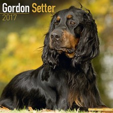 Calendrier 2017 - SETTER