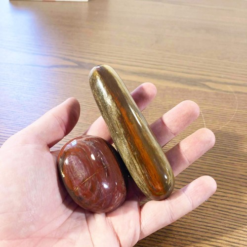 Bois fossilisé poli rouge