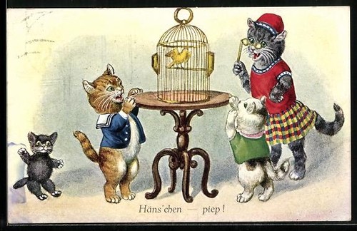 Carte postale canari une - carte, canari,