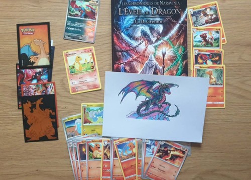 Cartes pokemon dragons - pokemon, +