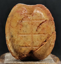 Ancienne sculpture carapace de