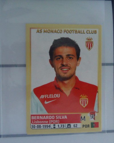 Panini image sticker bernardo - image,