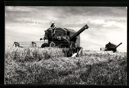 Carte postale bauer - postale,