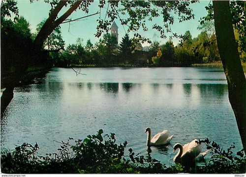 Carte postale animaux - carte,