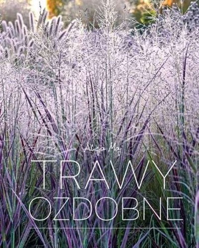 Trawy ozdobne alicja maj - alicja,