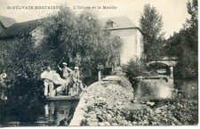 CARTE POSTALE  / SYLVAIN