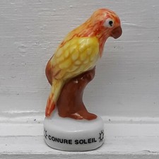 Fève CONURE SOLEIL Atlas Neuve (fève/n°64)