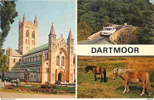 Carte postale animaux - animaux,
