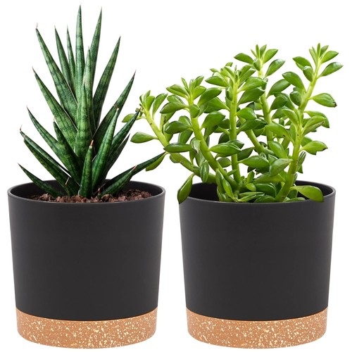 Pack indoor planters - 2-pack,
