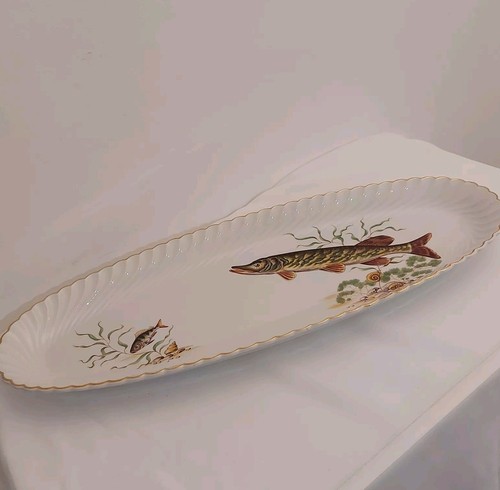 Grand plat poisson en - grand,