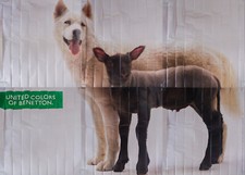 UNITED COLORS OF BENETTON Huge French Vintage Advertising Poster Original 1980's