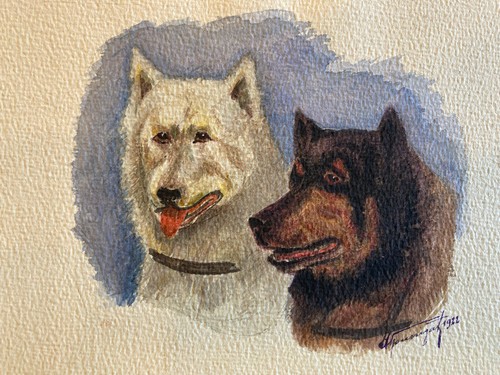 Beau dessin chien gouache - chien,