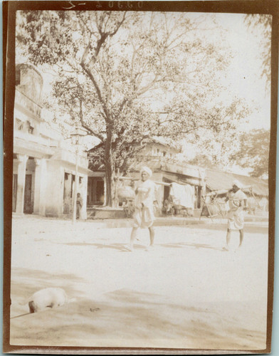 Inde bénarès porteurs - inde,, bénarès,