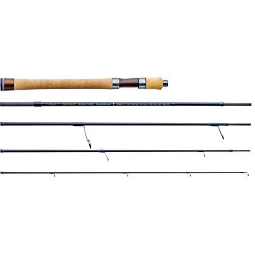 Tenryu rayz integral - tenryu,