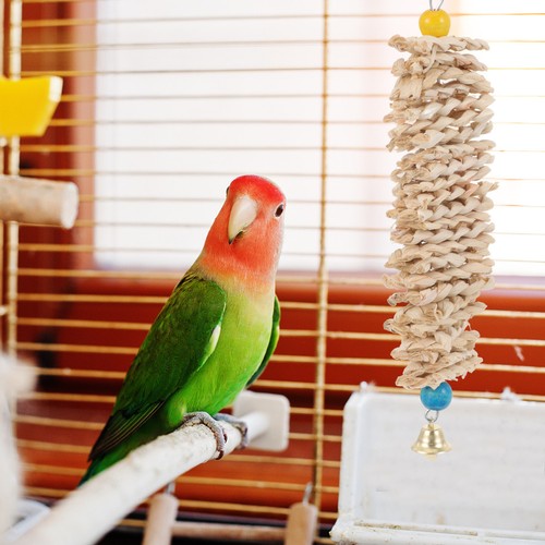 Bird cage toy jouet pour - bird,