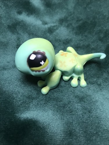 Petshop lézard 492 - 🌺petshop,