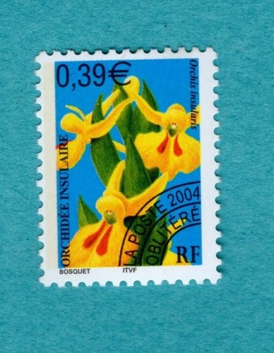 France 2004 - ,